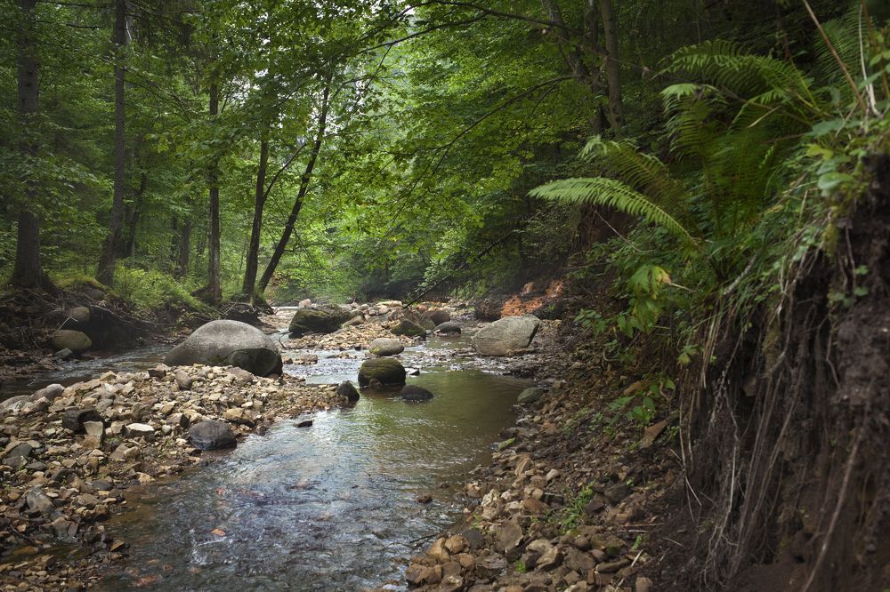 Photograph by Клементьев Виктор