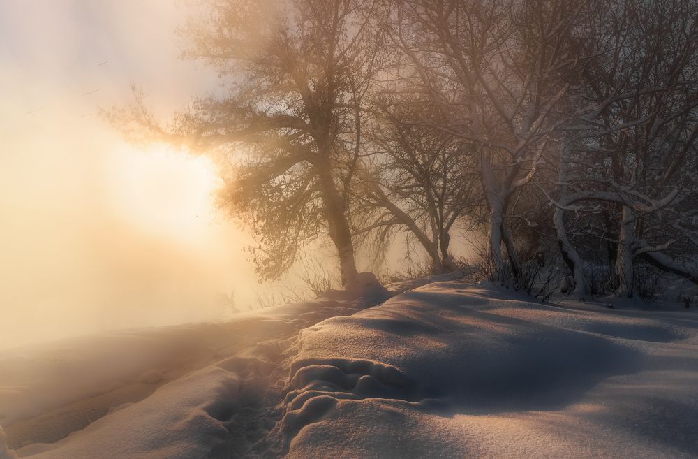Фотография автора Гарбузов Илья