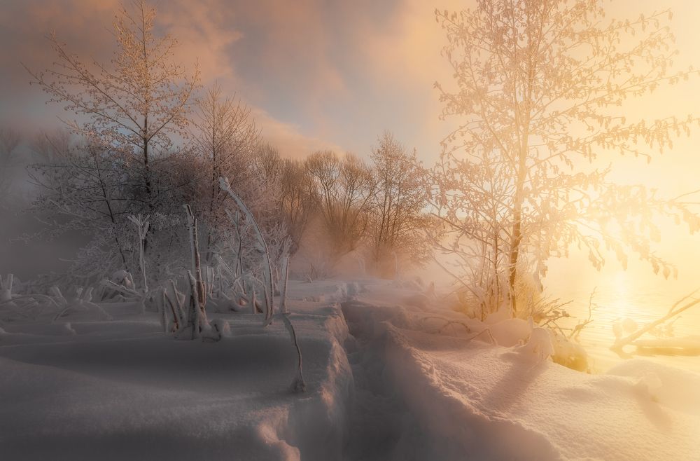 Photograph by Гарбузов Илья