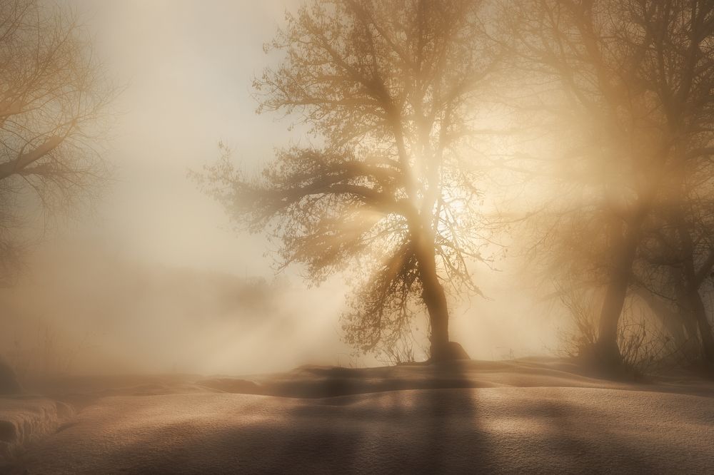 Фотография автора Гарбузов Илья