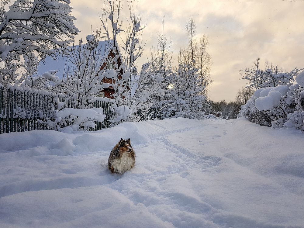 Photograph by Ольга Якшина