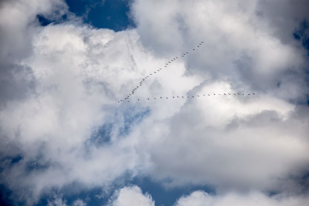 Photograph by Владимир Карпов