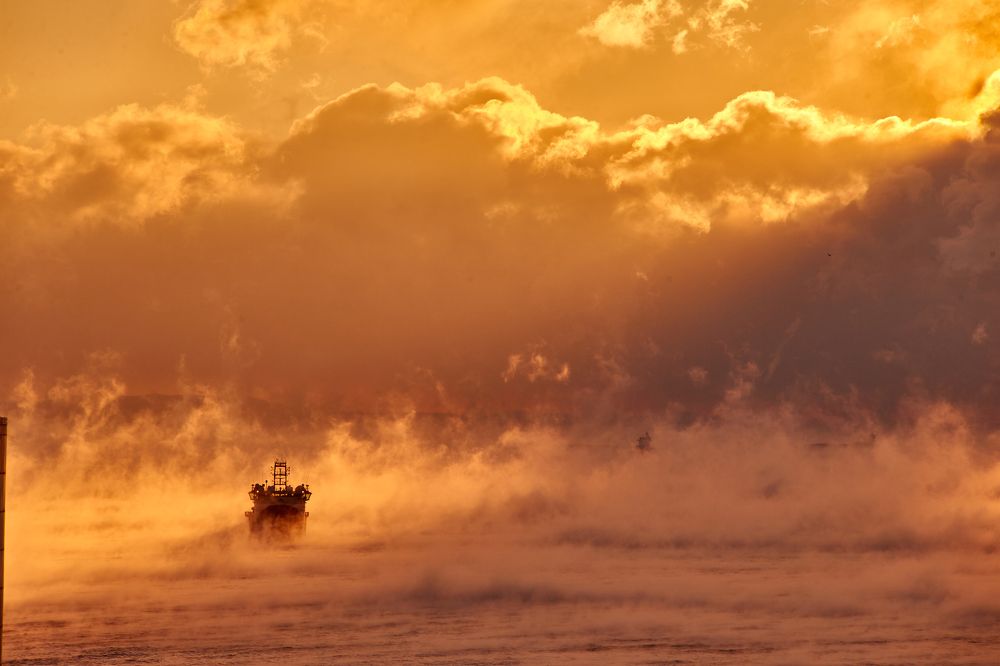 Photograph by Татьяна Тарада