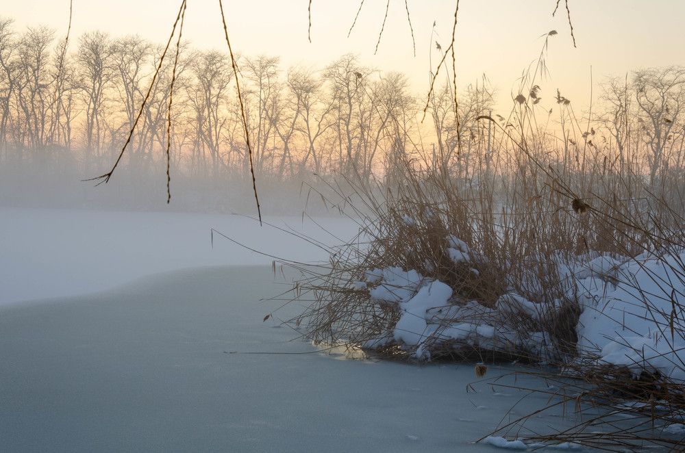 Photograph by Редько Александр