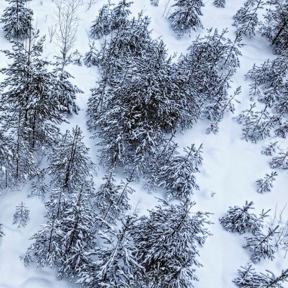 Photograph by Николай Тышкунов