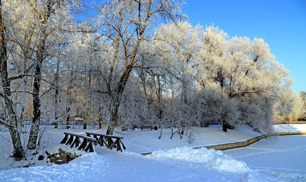 Park on a frosty morning