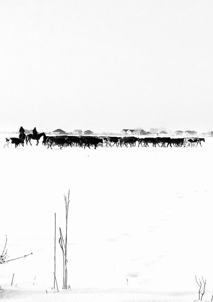 Photograph by Орынбек Асилбаев