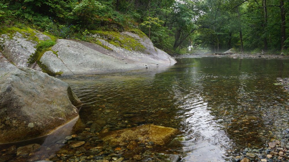 Photograph by Анна Самара