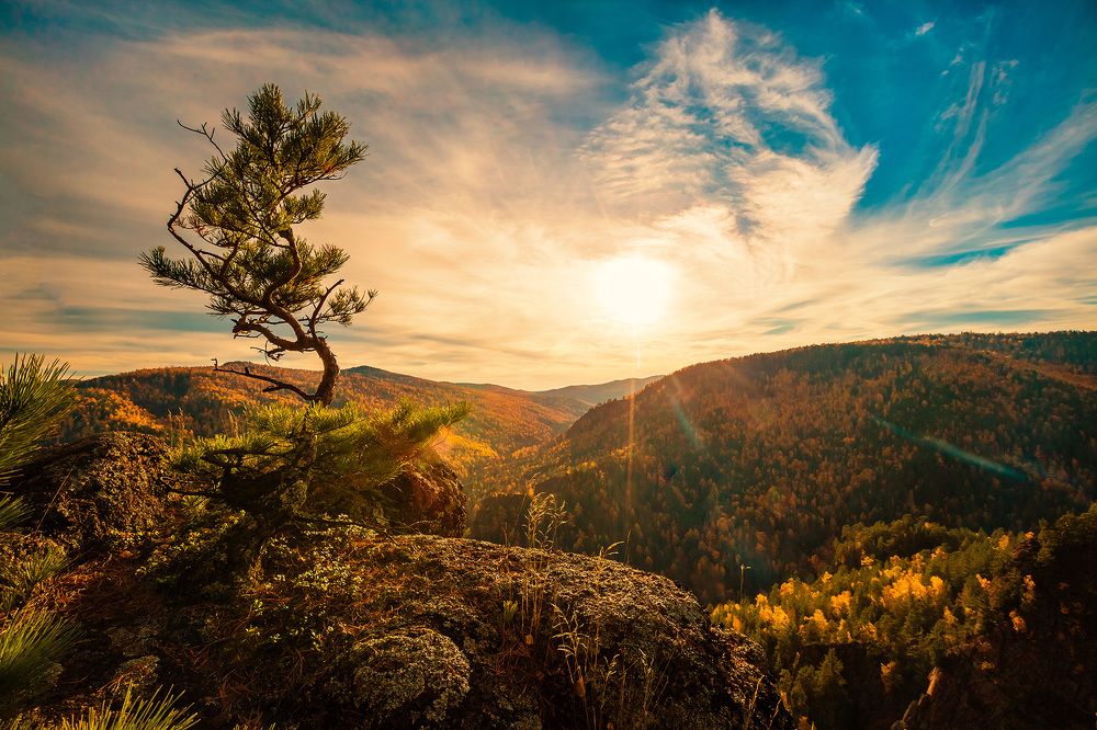 Photograph by Евгений Воробьев