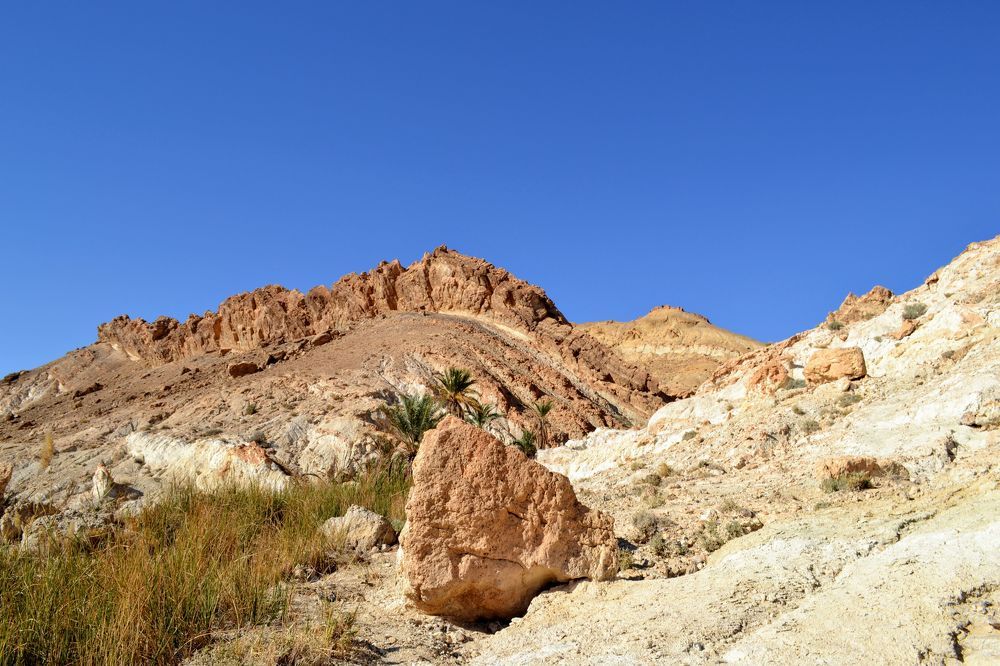 Photograph by Sakhria Mbarki