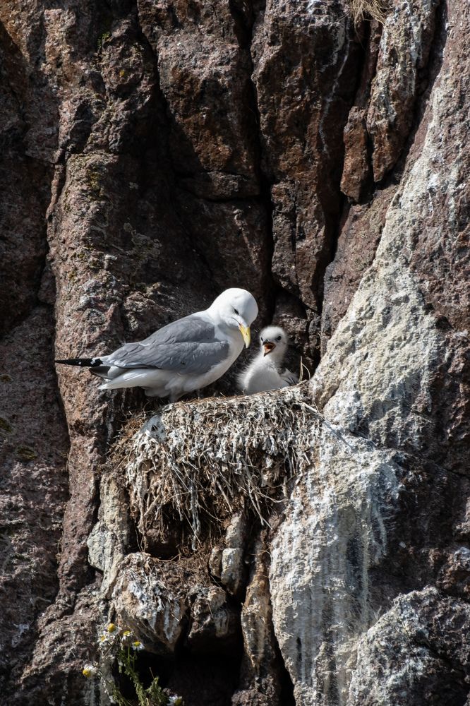 Photograph by Василий Арлашов