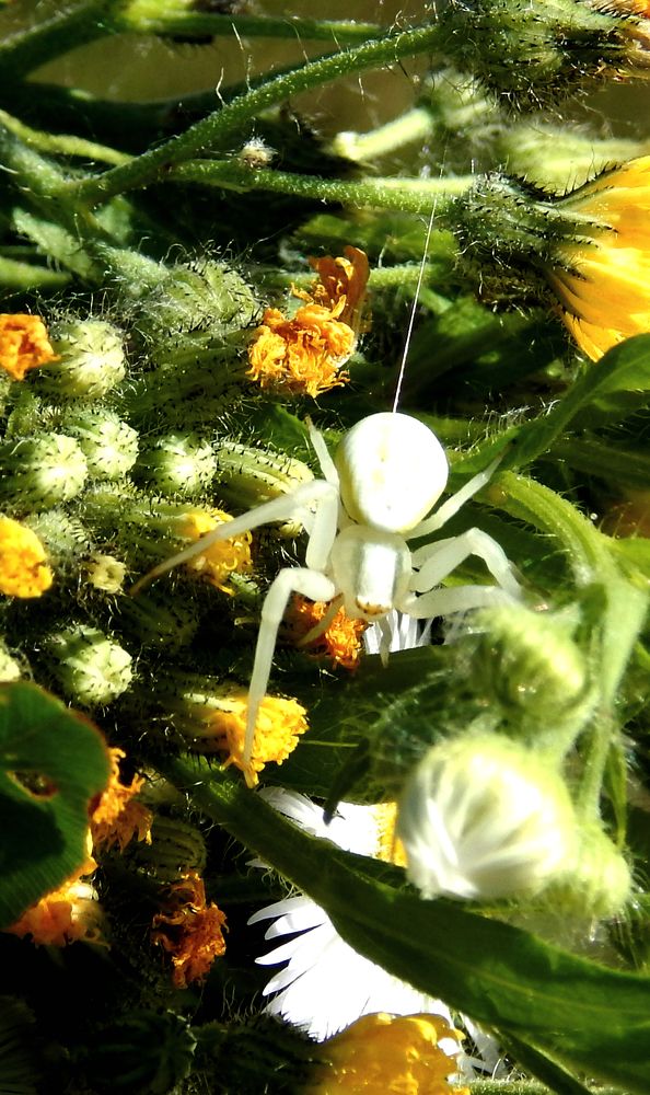 Photograph by Анастасия Моисеева