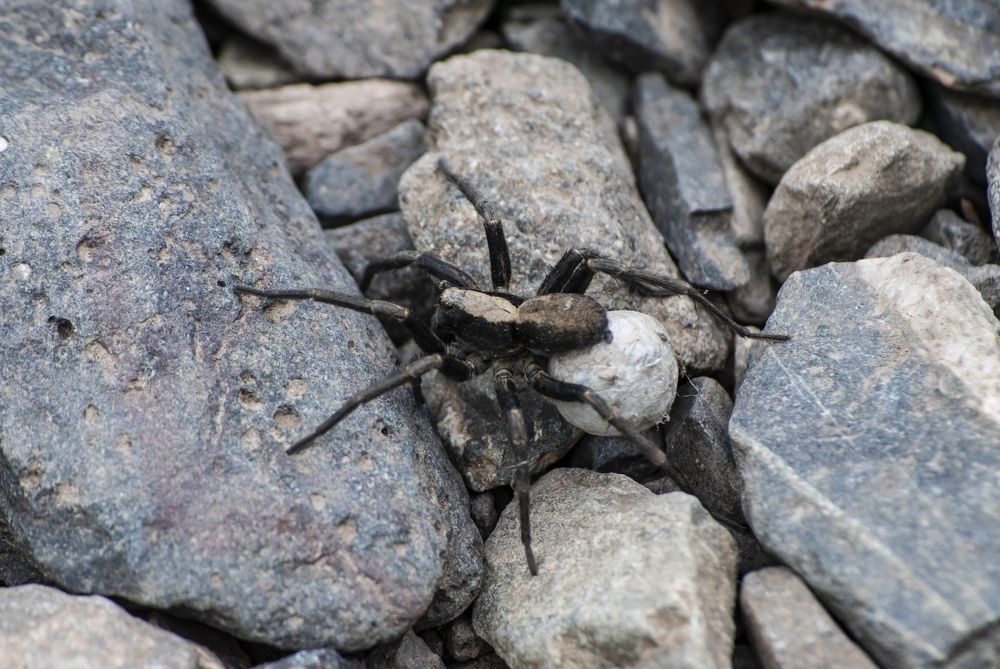 Фотография автора Алексей Самойлов