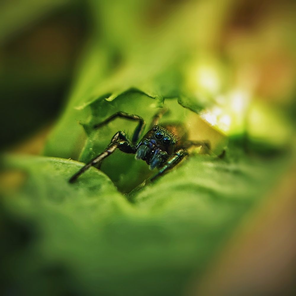 Photograph by Ольга Веселова