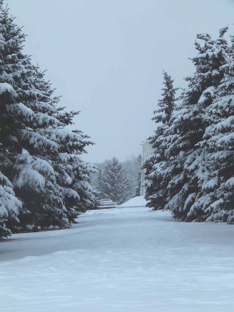 Photograph by Анастасия Моисеева