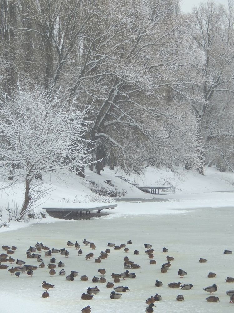 Photograph by Анастасия Моисеева