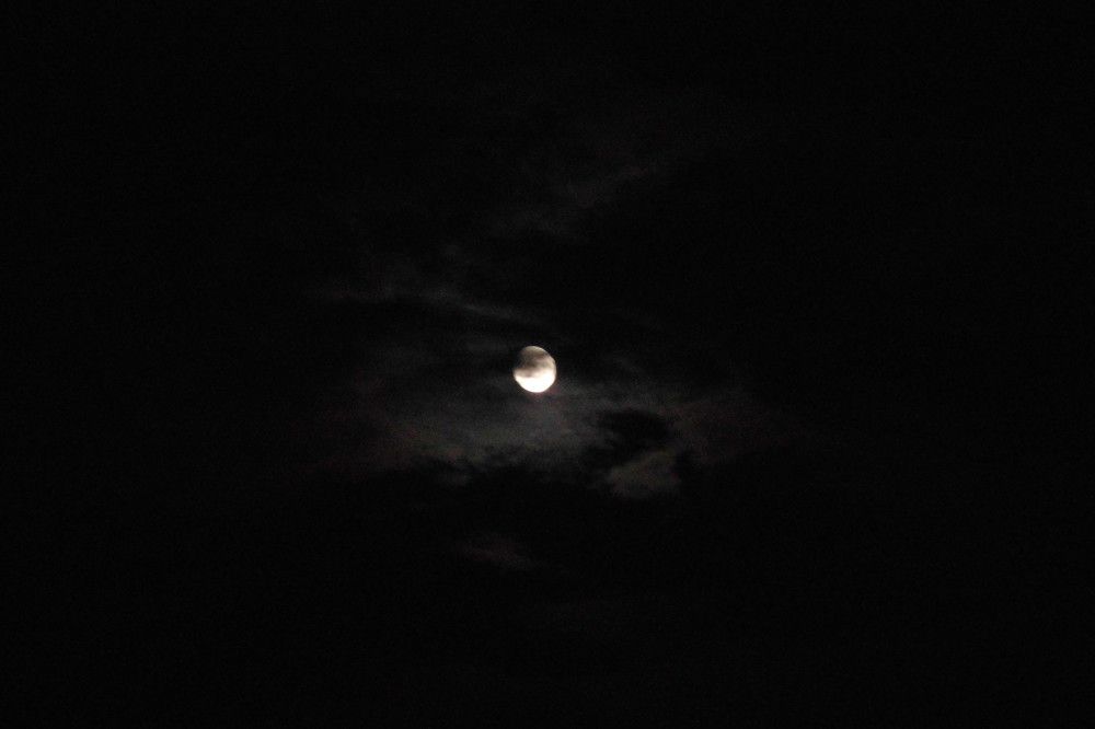 Photograph by Лариса Неудачина