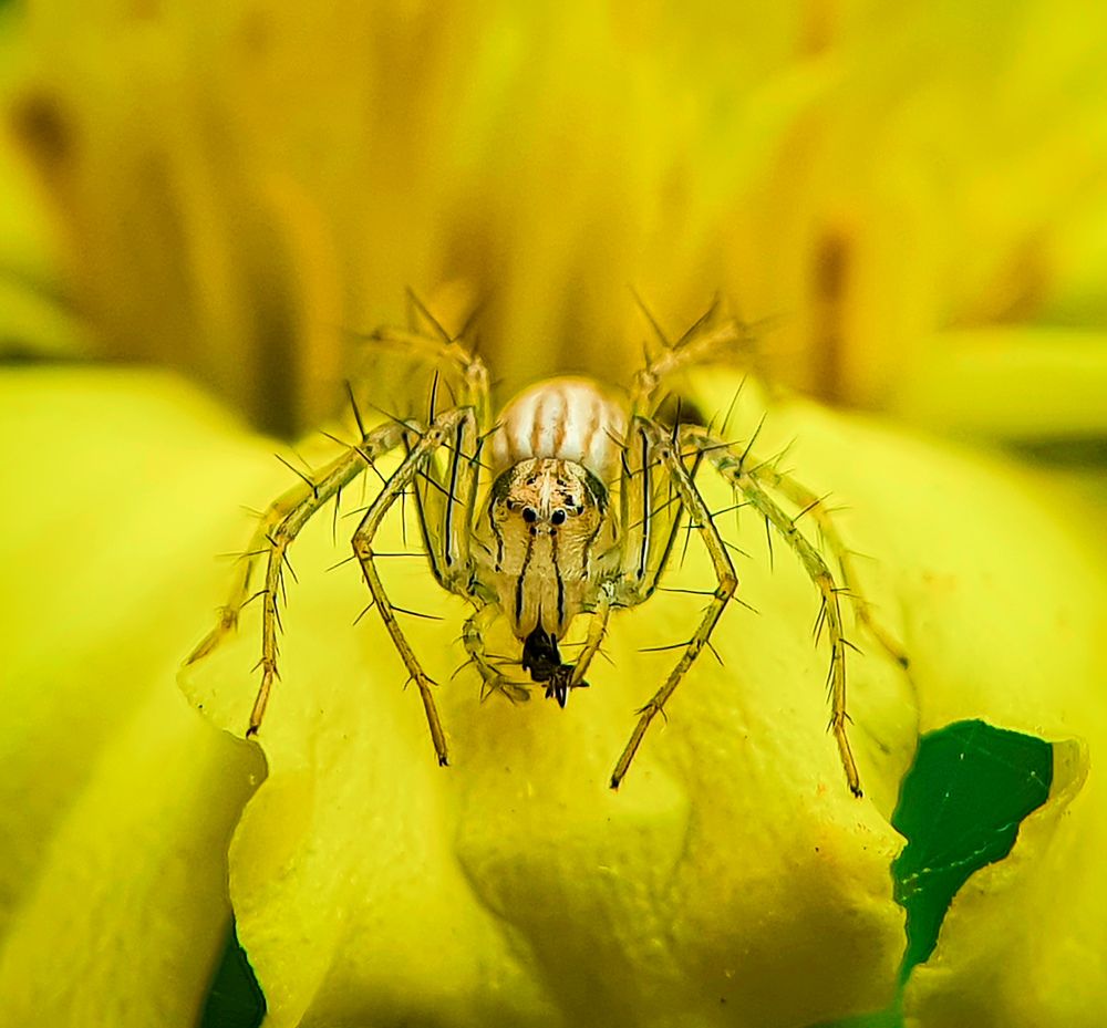 Photograph by SAIKAT PAL