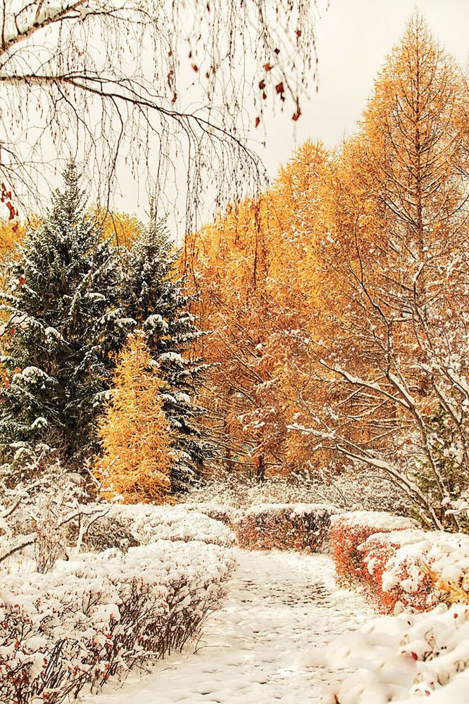 Photograph by Евгений Воробьев