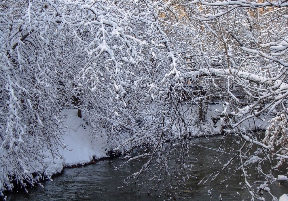 Photograph by IRINA KORNEVA