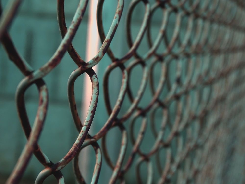 Photograph by Анастасия Моисеева