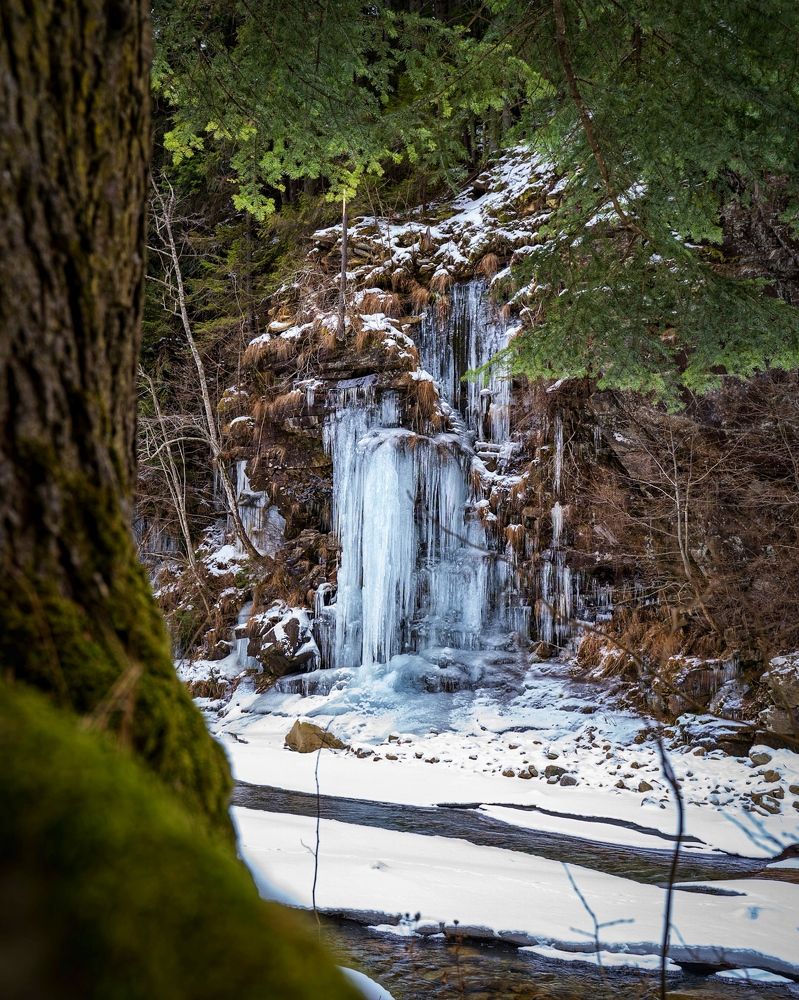 Photograph by Владимир Дихтенко