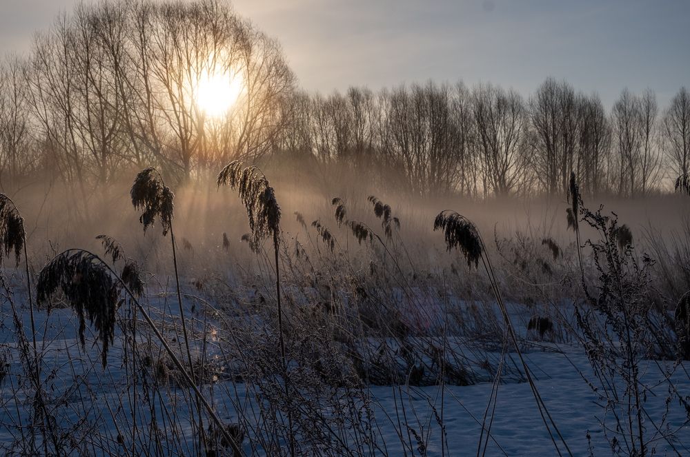Photograph by Василий Арлашов