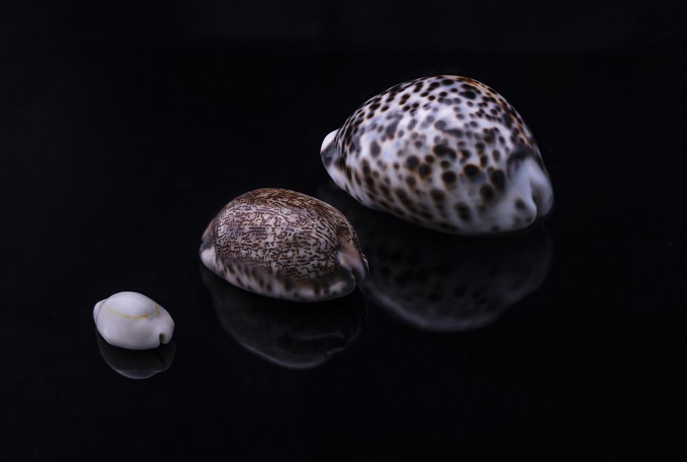 Этапы взросления