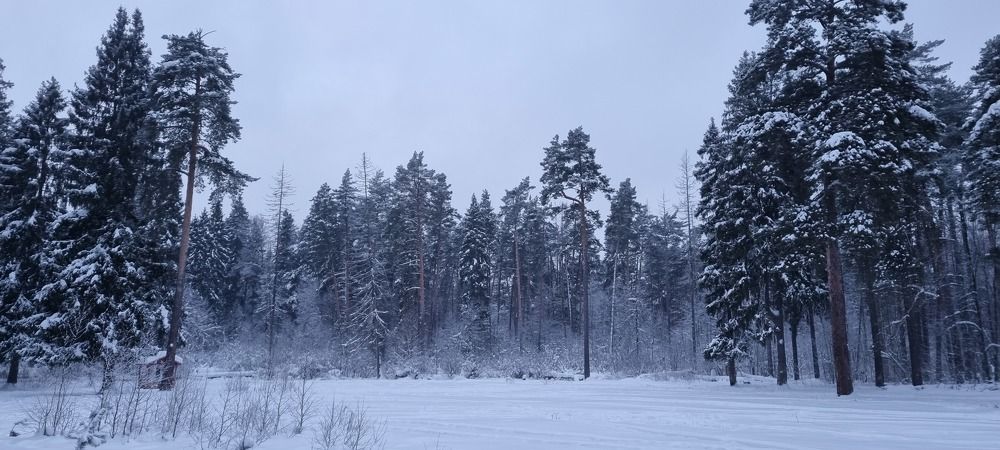 Photograph by Василий Арлашов