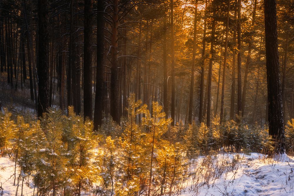 Photograph by Станислав Новокрещенов