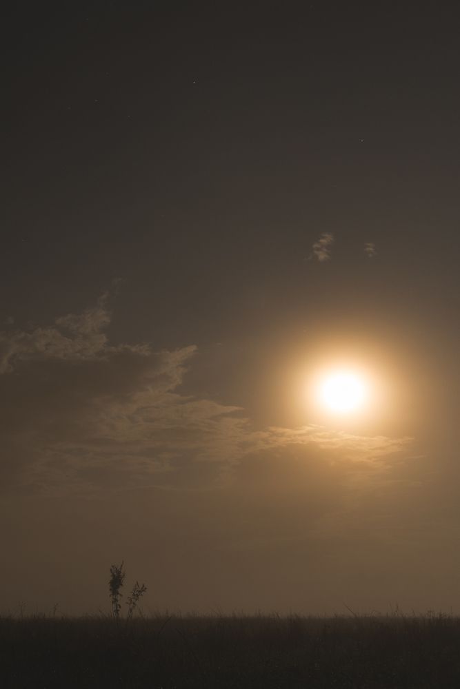 Photograph by Артем Полинин