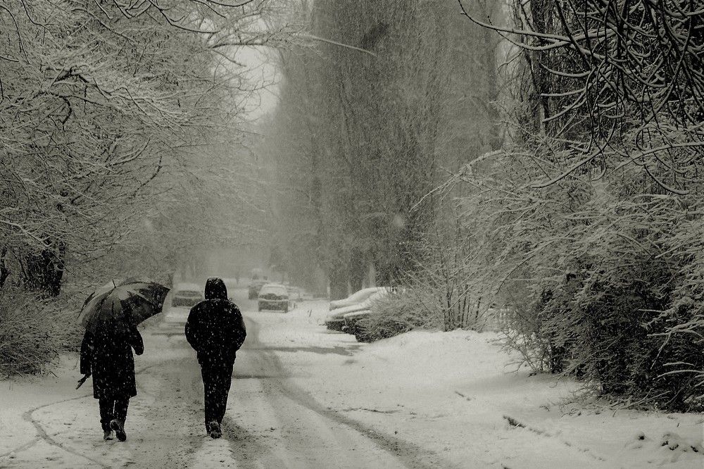 Photograph by Дмитрий Шумский