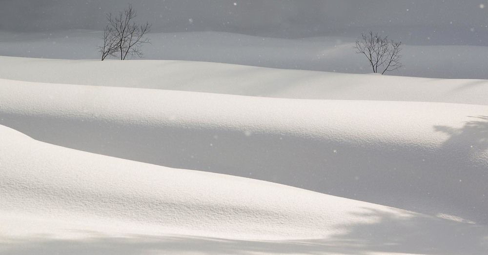 Фотография автора Татьяна Добровольская