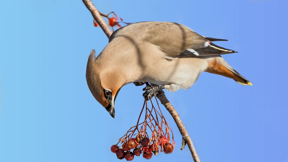 Photograph by Олег Колмаков