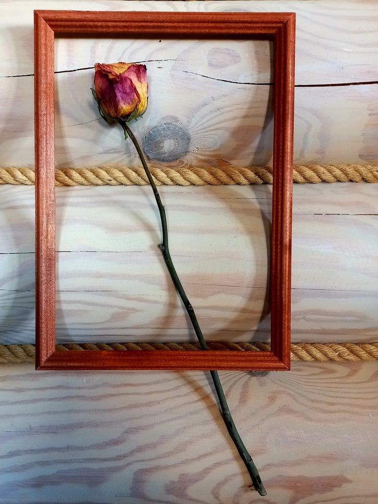 Photograph by Зоя