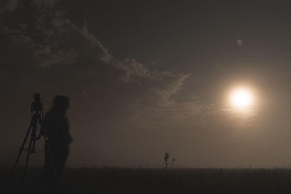 Photograph by Артем Полинин