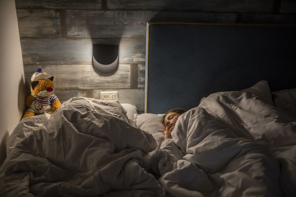 Photograph by Hillel Shatz