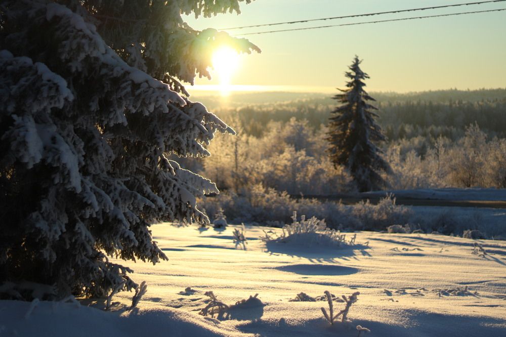 Photograph by Лилия