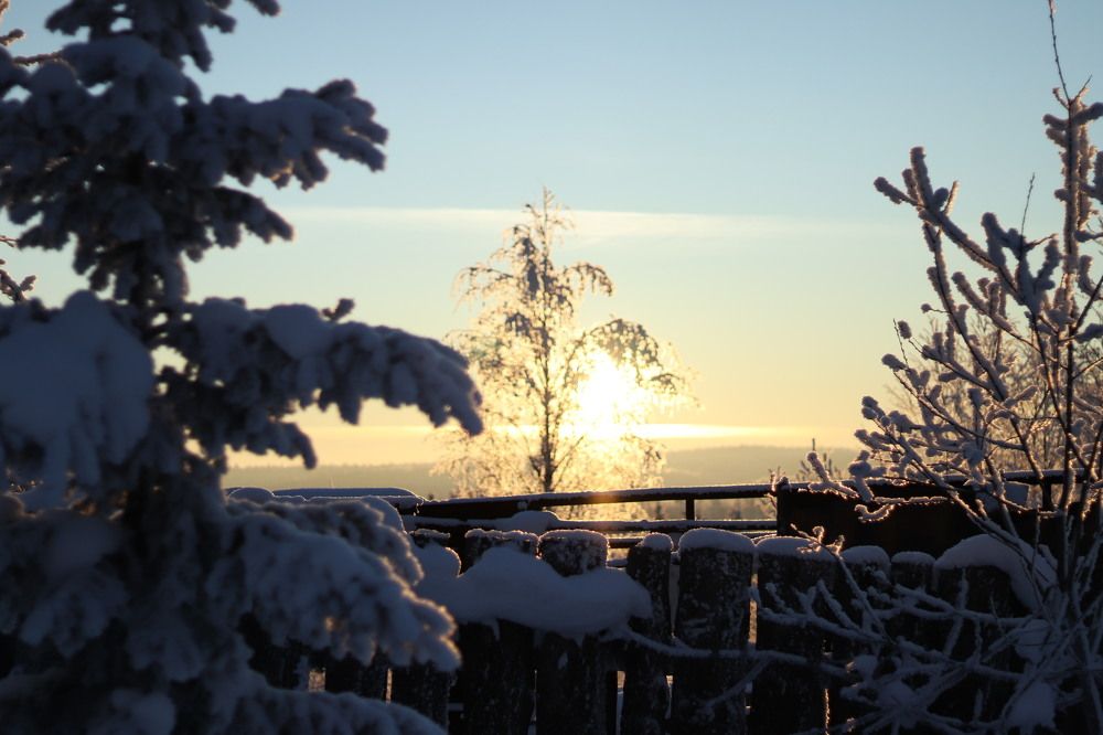 Photograph by Лилия