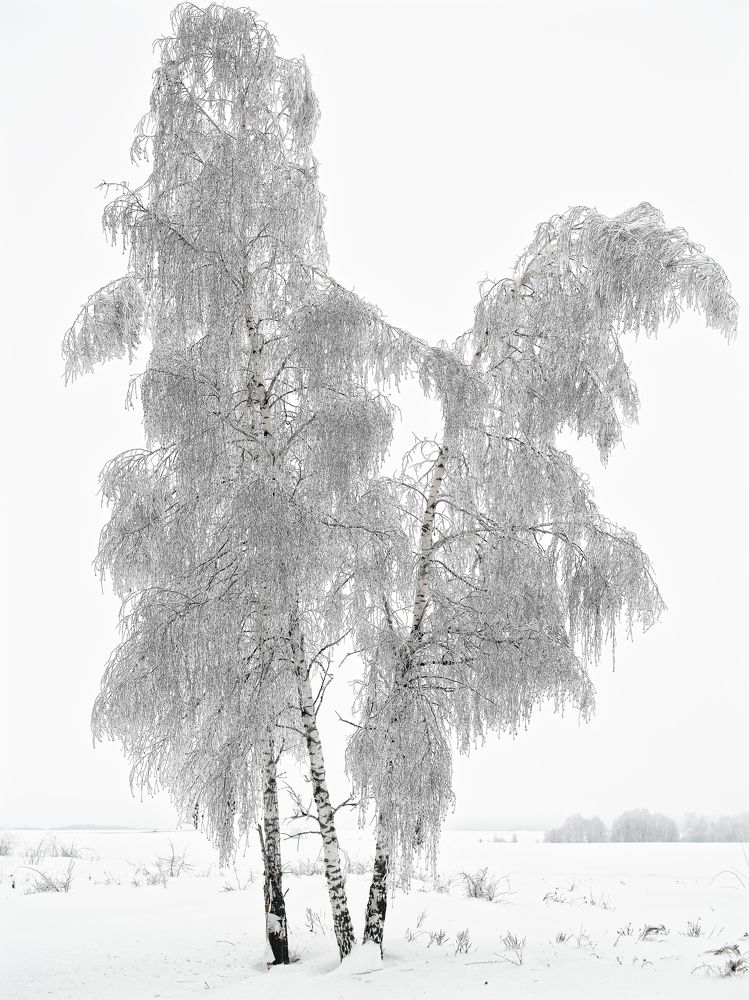 Photograph by Максим Худокормов