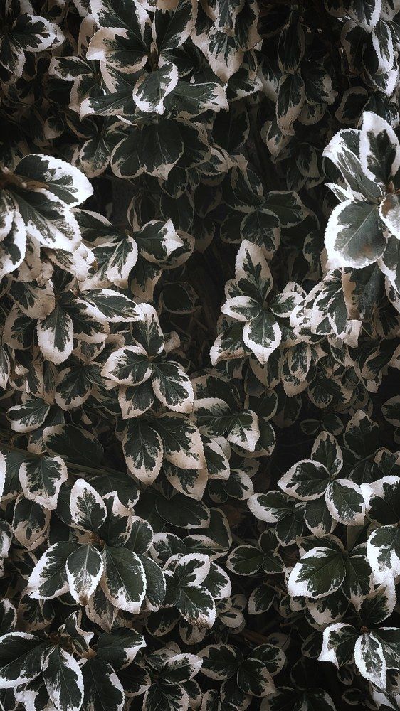 Photograph by Анна