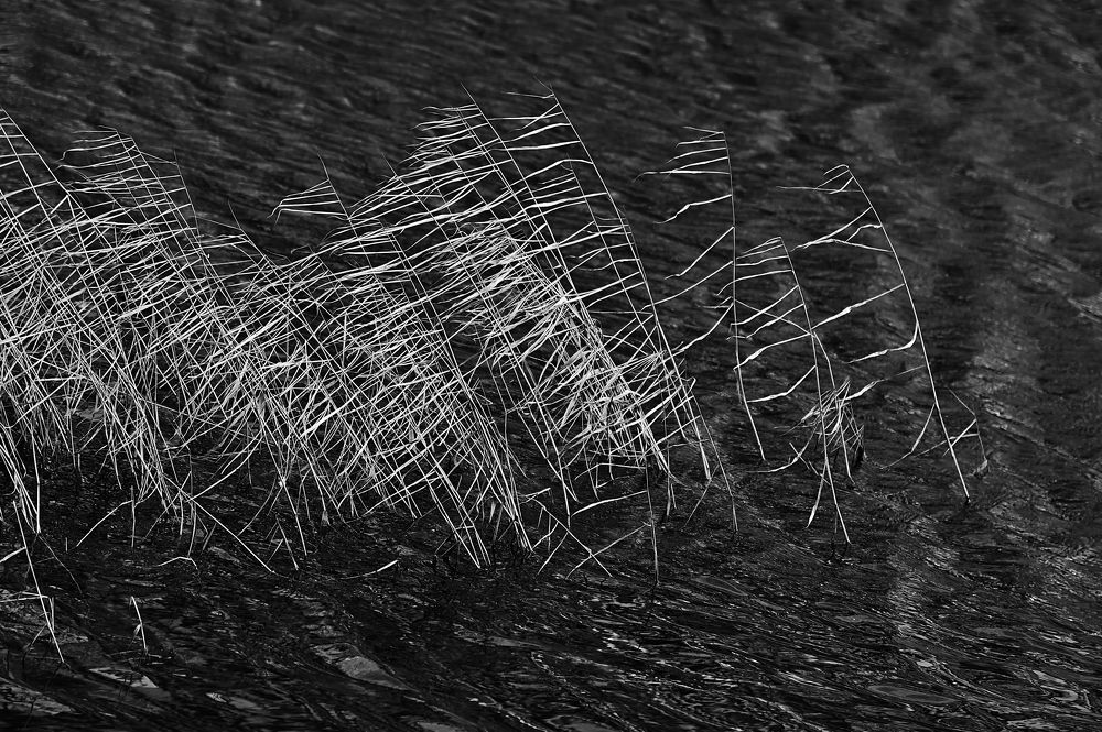 Photograph by Сергей Вальков