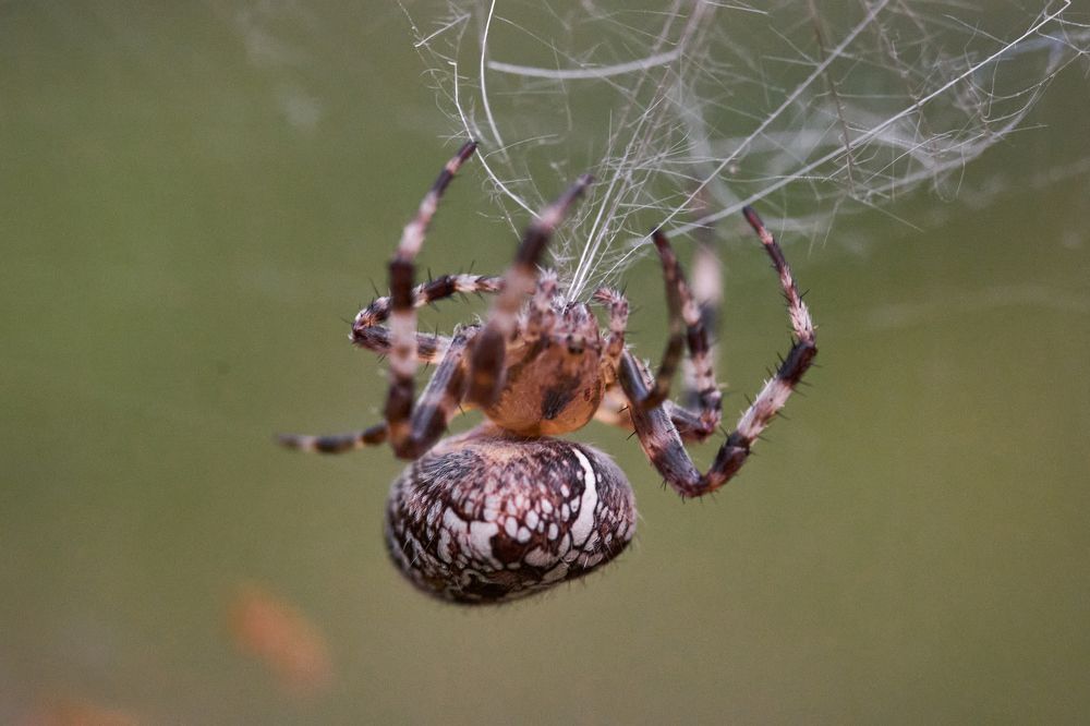 Фотография автора Игорь Игоревич