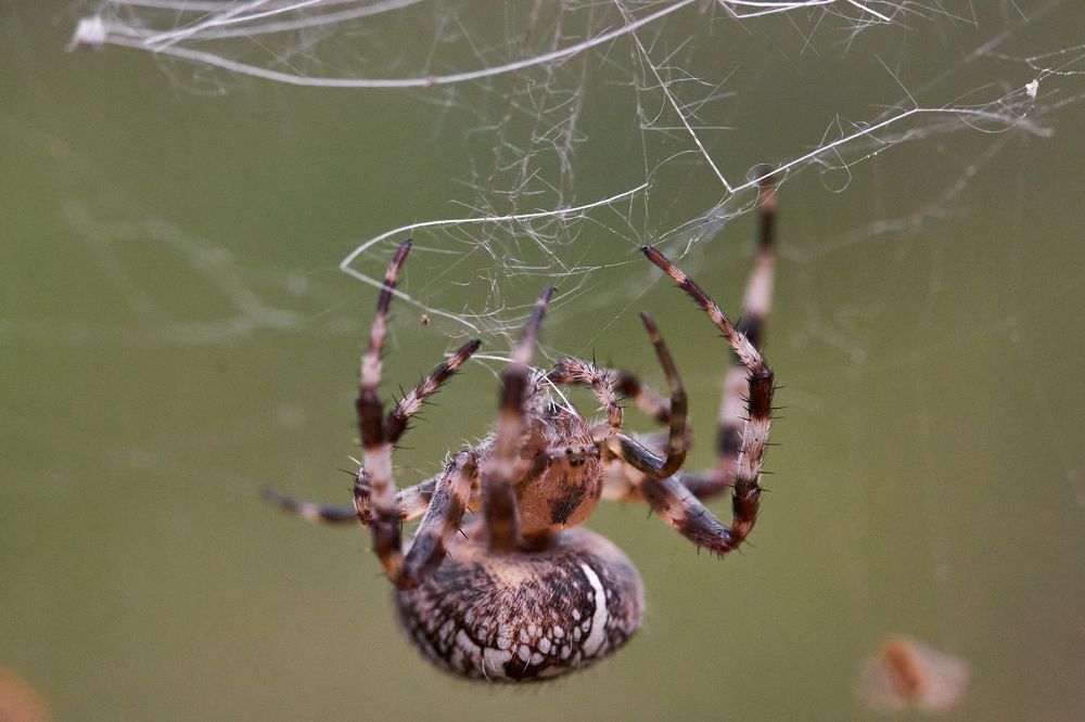 Фотография автора Игорь Игоревич