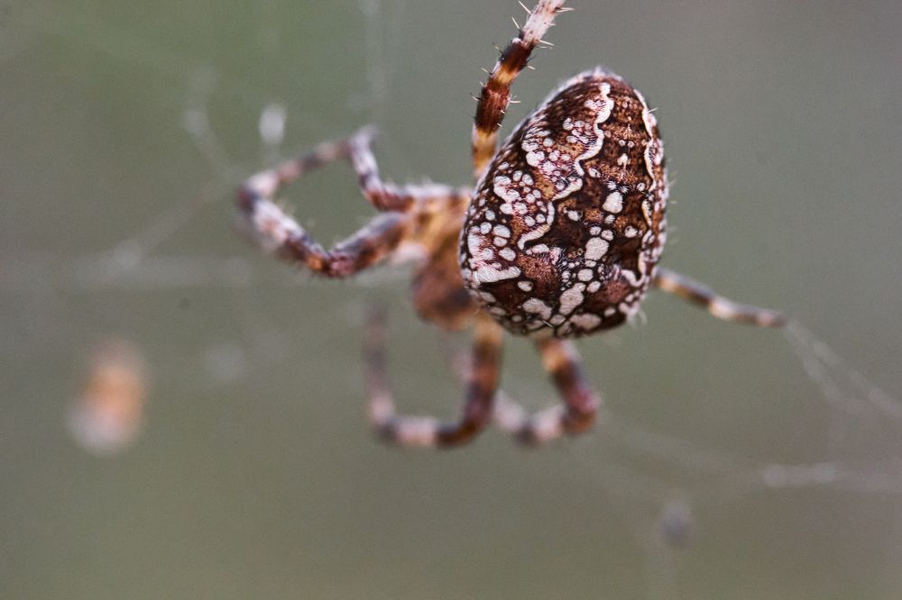 Фотография автора Игорь Игоревич