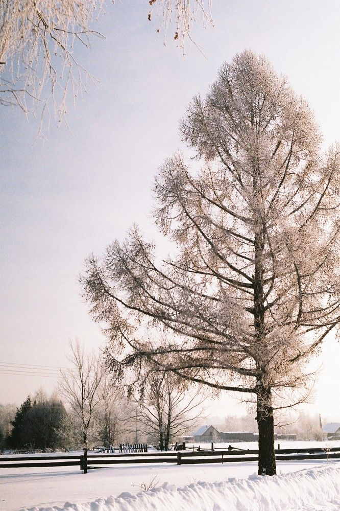 Photograph by Anastasia Beltyukova