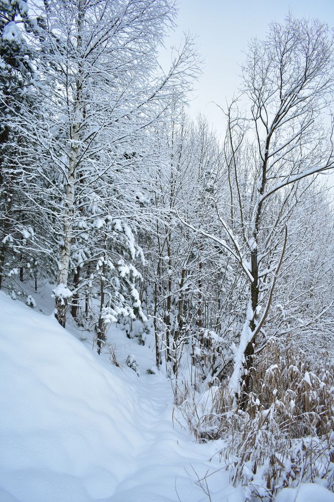 Photograph by Надежда Котовская
