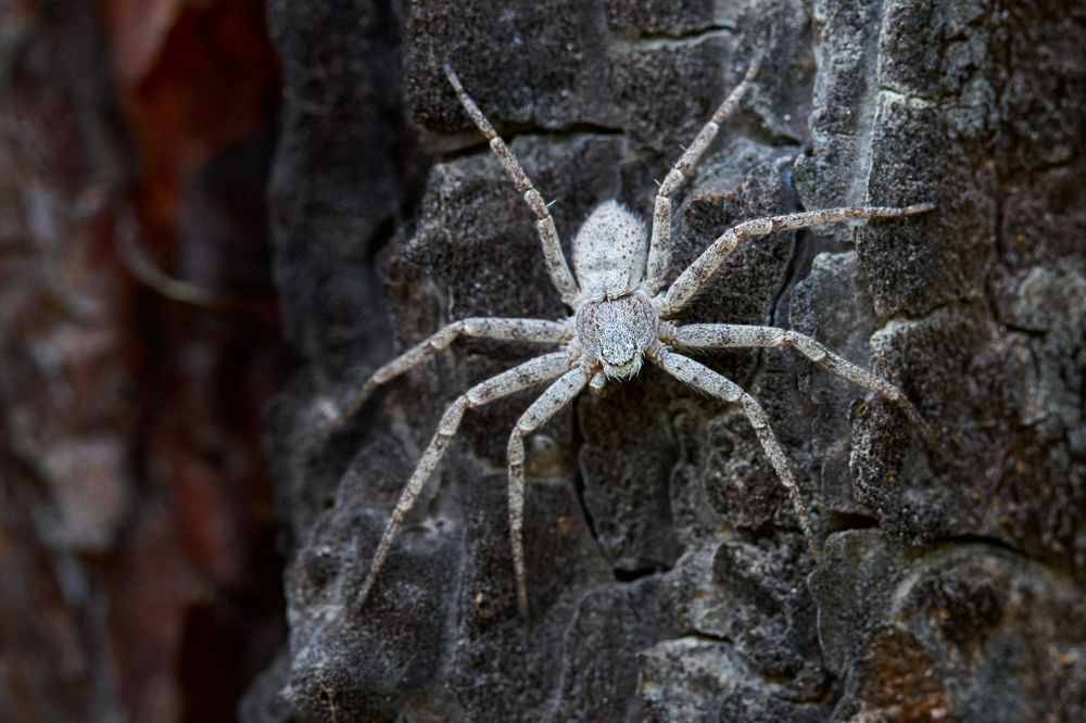 Фотография автора Игорь Игоревич