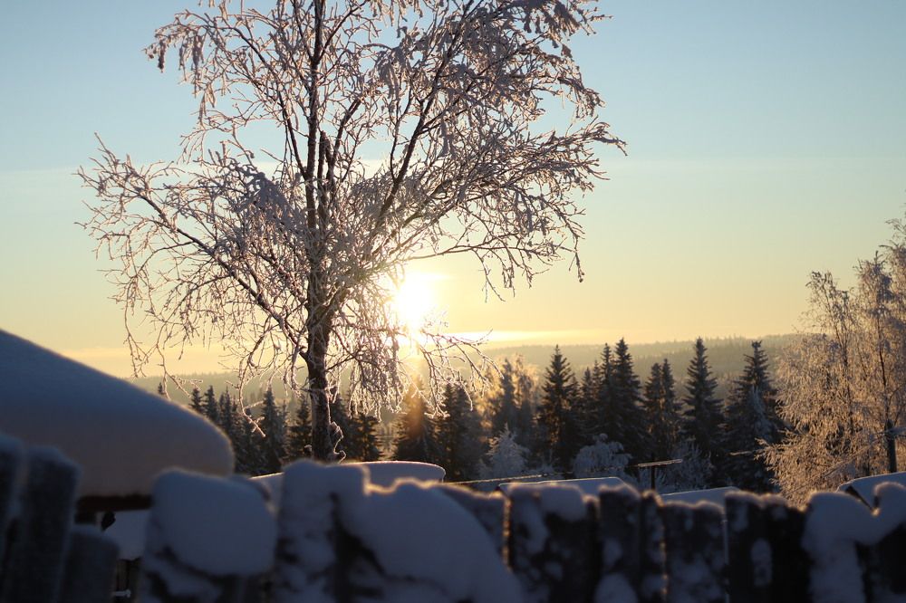 Photograph by Лилия