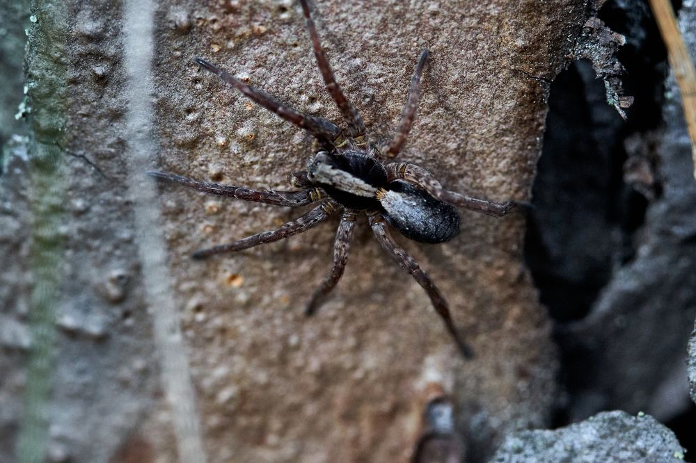 Фотография автора Игорь Игоревич